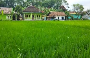 Lahan Pertanian di Sukabumi hanya Mampu Mencukupi 30 Persen Kebutuhan Pangan Lokal